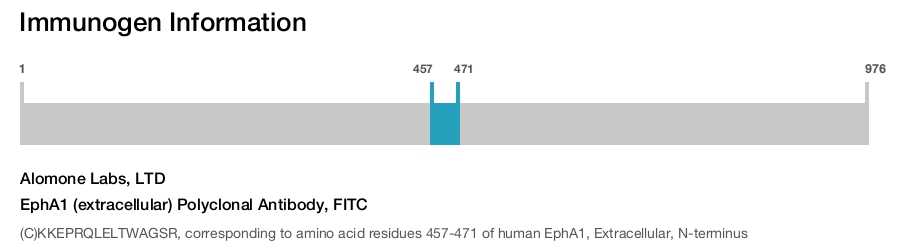 EphA1 (extracellular) Polyclonal Antibody, FITC
