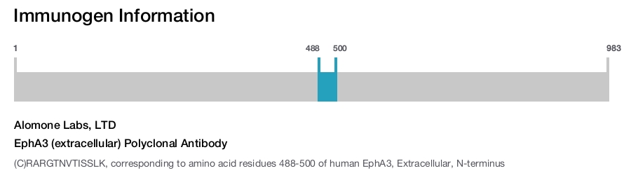 EphA3 (extracellular) Polyclonal Antibody