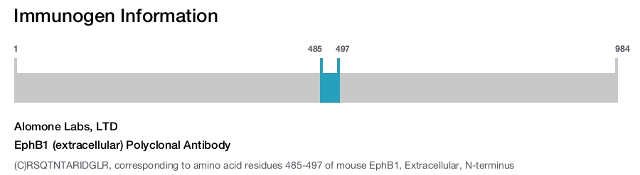 EphB1 (extracellular) Polyclonal Antibody