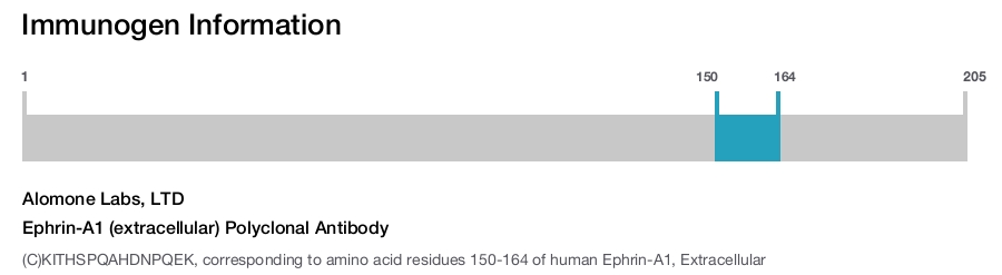 Ephrin-A1 (extracellular) Polyclonal Antibody