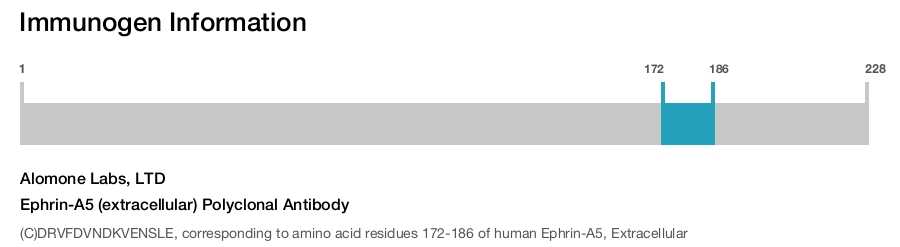 Ephrin-A5 (extracellular) Polyclonal Antibody