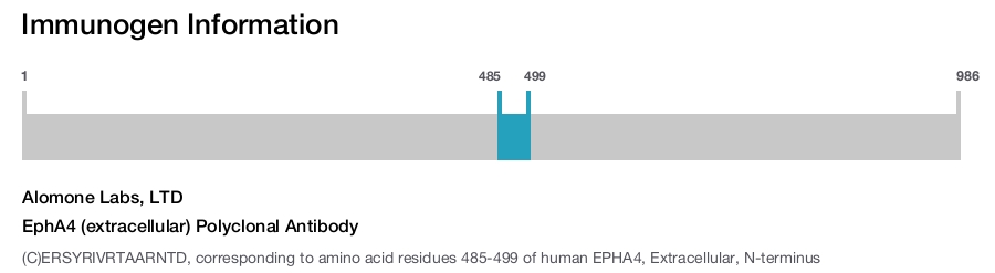 EphA4 (extracellular) Polyclonal Antibody