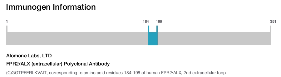 FPR2/ALX (extracellular) Polyclonal Antibody