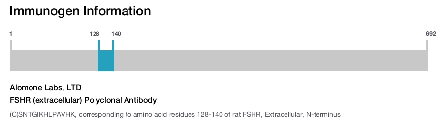 FSHR (extracellular) Polyclonal Antibody