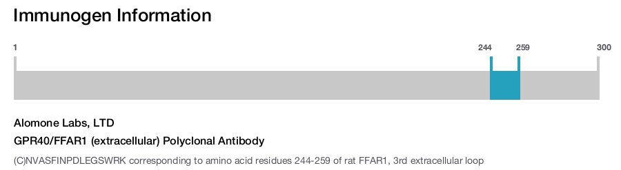 GPR40/FFAR1 (extracellular) Polyclonal Antibody