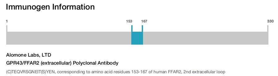 GPR43/FFAR2 (extracellular) Polyclonal Antibody