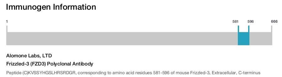 Frizzled-3 (FZD3) Polyclonal Antibody