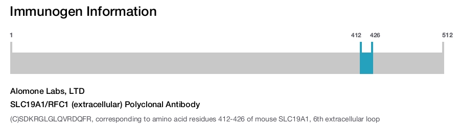 SLC19A1/RFC1 (extracellular) Polyclonal Antibody