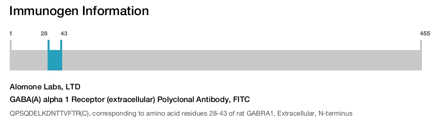 GABA(A) alpha 1 Receptor (extracellular) Polyclonal Antibody, FITC