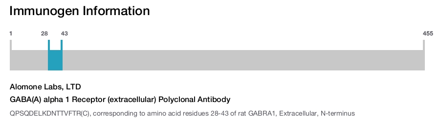 GABA(A) alpha 1 Receptor (extracellular) Polyclonal Antibody