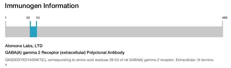 GABA(A) gamma 2 Receptor (extracellular) Polyclonal Antibody