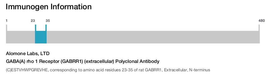 GABA(A) rho 1 Receptor (GABRR1) (extracellular) Polyclonal Antibody