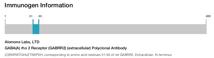 GABA(A) rho 2 Receptor (GABRR2) (extracellular) Polyclonal Antibody