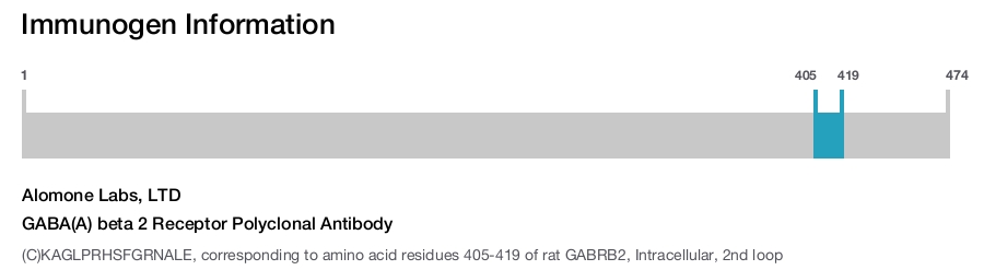 GABA(A) beta 2 Receptor Polyclonal Antibody