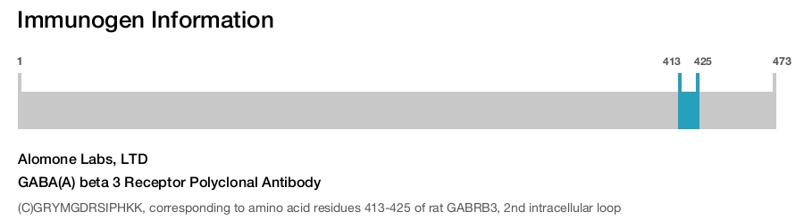 GABA(A) beta 3 Receptor Polyclonal Antibody