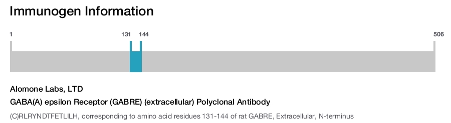 GABA(A) epsilon Receptor (GABRE) (extracellular) Polyclonal Antibody