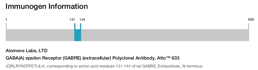 GABA(A) epsilon Receptor (GABRE) (extracellular) Polyclonal Antibody, Atto™ 633