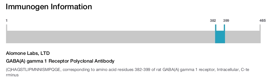 GABA(A) gamma 1 Receptor Polyclonal Antibody