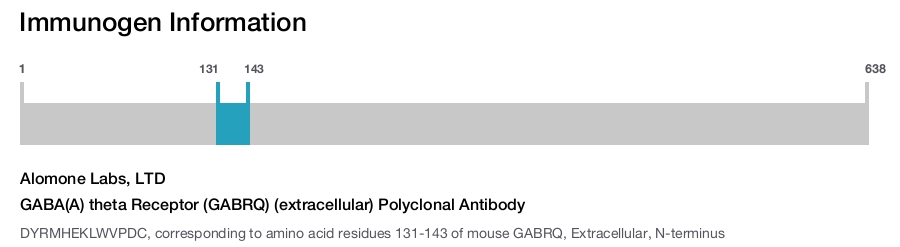 GABA(A) theta Receptor (GABRQ) (extracellular) Polyclonal Antibody