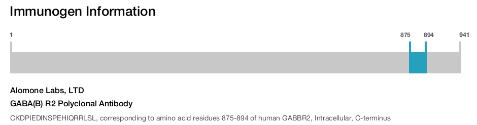 GABA(B) R2 Polyclonal Antibody