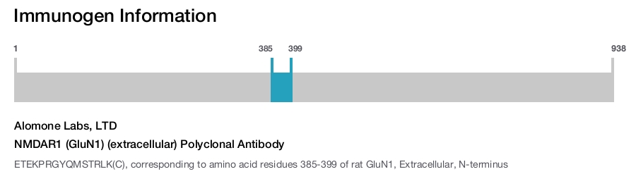 NMDAR1 (GluN1) (extracellular) Polyclonal Antibody