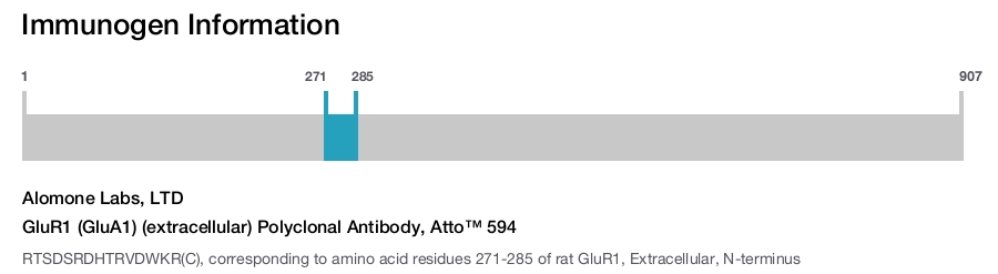 GluR1 (GluA1) (extracellular) Polyclonal Antibody, Atto™ 594