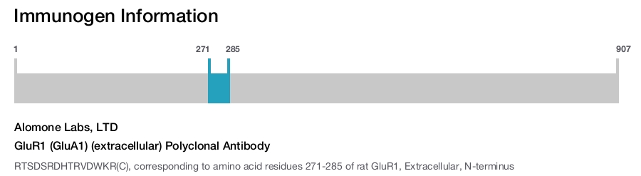GluR1 (GluA1) (extracellular) Polyclonal Antibody