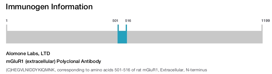 mGluR1 (extracellular) Polyclonal Antibody