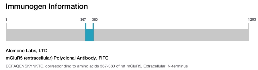 mGluR5 (extracellular) Polyclonal Antibody, FITC