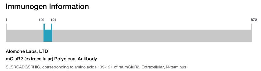 mGluR2 (extracellular) Polyclonal Antibody