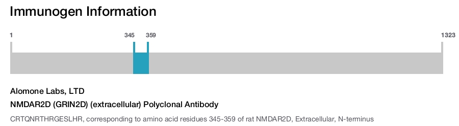 NMDAR2D (GRIN2D) (extracellular) Polyclonal Antibody