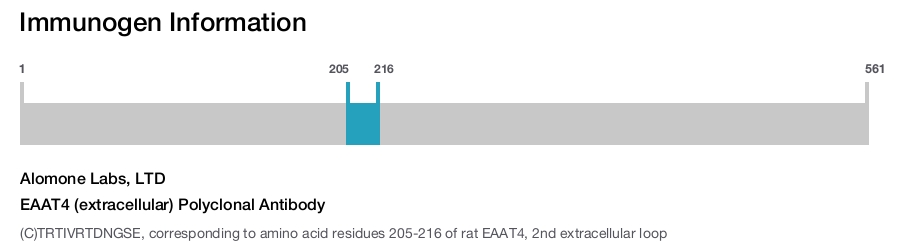 EAAT4 (extracellular) Polyclonal Antibody