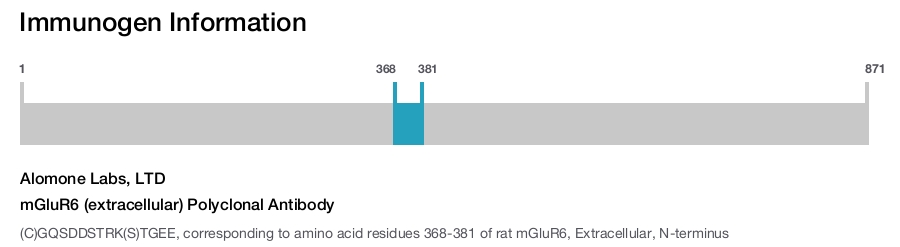 mGluR6 (extracellular) Polyclonal Antibody