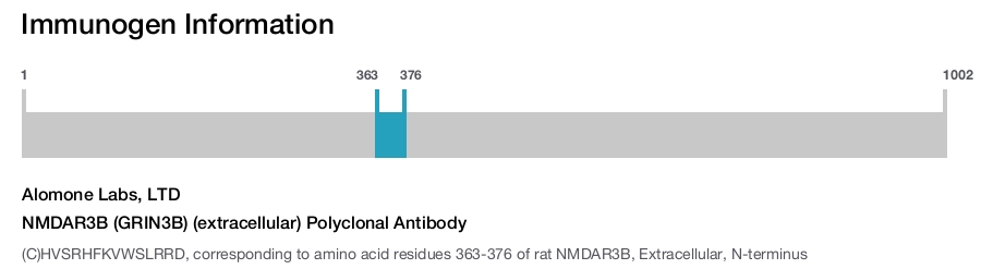 NMDAR3B (GRIN3B) (extracellular) Polyclonal Antibody