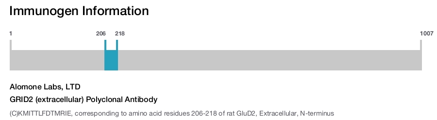 GRID2 (extracellular) Polyclonal Antibody