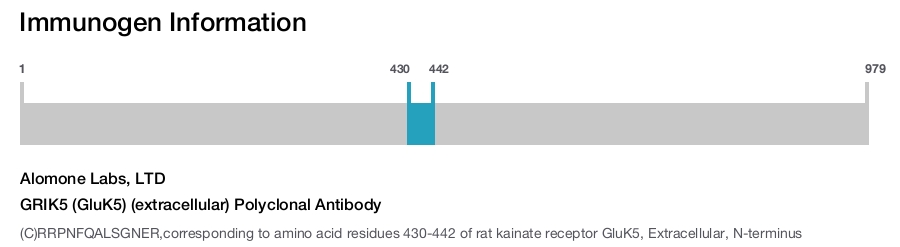 GRIK5 (GluK5) (extracellular) Polyclonal Antibody