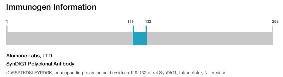 SynDIG1 Polyclonal Antibody