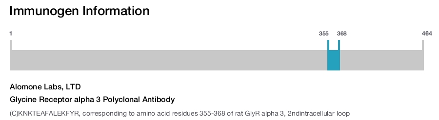 Glycine Receptor alpha 3 Polyclonal Antibody