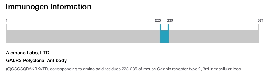 GALR2 Polyclonal Antibody