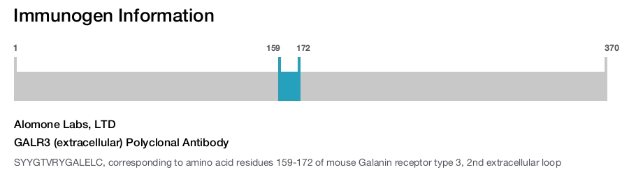 GALR3 (extracellular) Polyclonal Antibody