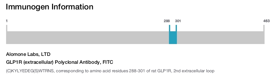 GLP1R (extracellular) Polyclonal Antibody, FITC