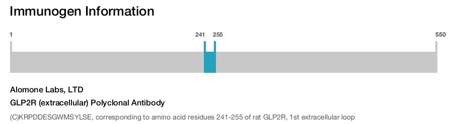 GLP2R (extracellular) Polyclonal Antibody