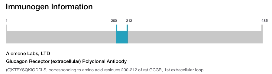 Glucagon Receptor (extracellular) Polyclonal Antibody