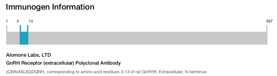 GnRH Receptor (extracellular) Polyclonal Antibody