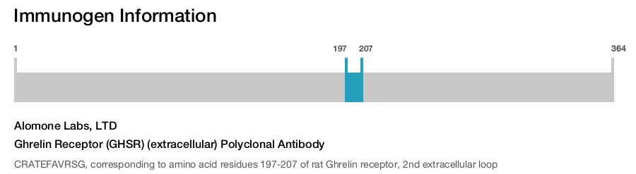 Ghrelin Receptor (GHSR) (extracellular) Polyclonal Antibody