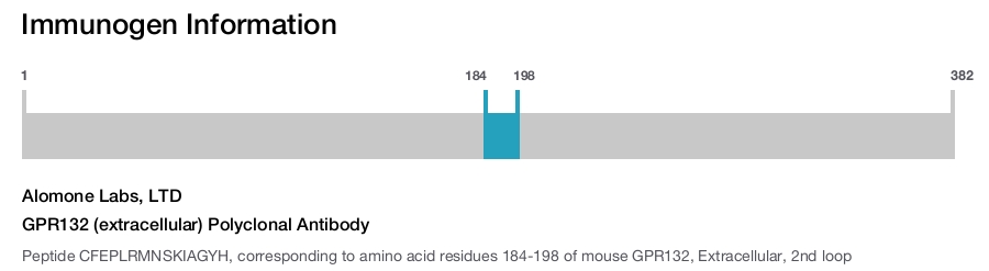 GPR132 (extracellular) Polyclonal Antibody