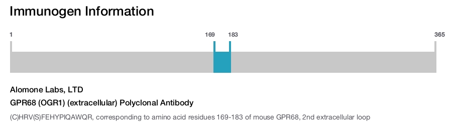 GPR68 (OGR1) (extracellular) Polyclonal Antibody