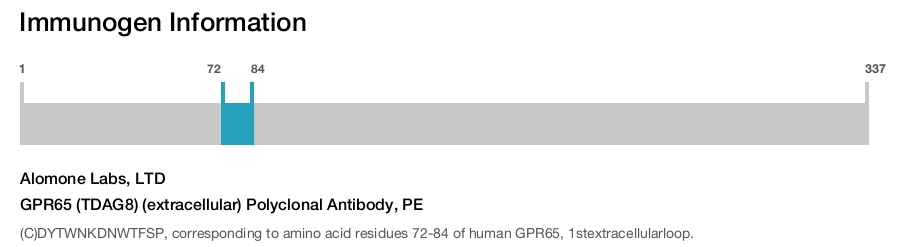 GPR65 (TDAG8) (extracellular) Polyclonal Antibody, PE