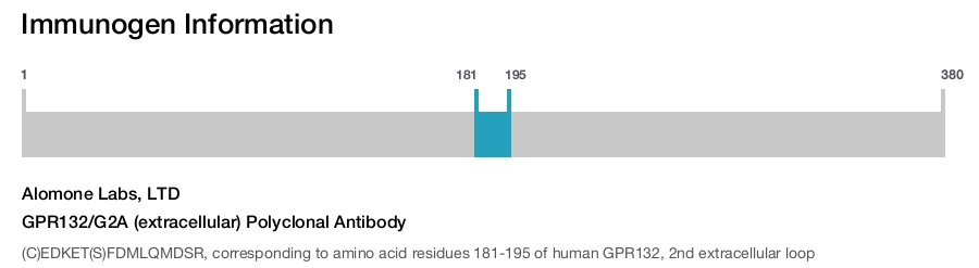 GPR132/G2A (extracellular) Polyclonal Antibody