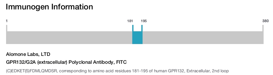 GPR132/G2A (extracellular) Polyclonal Antibody, FITC